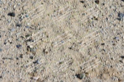 media/Feb-23-2024-2WTD (Fri) [[a719da276a]]/4-C Group/Session 5 (Turn 3 Inside)/